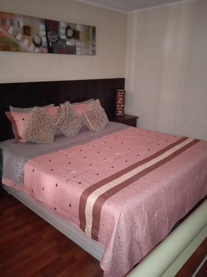 Central Suites Apartamento Santiago